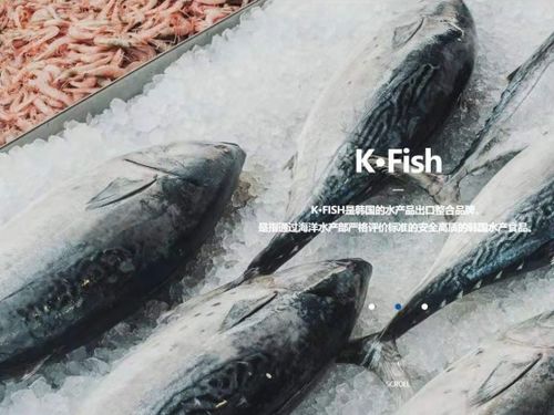 韓國水產(chǎn)協(xié)會(huì)上海貿(mào)易支援中心舉辦K-Seafood線上采購洽談會(huì)，助力國內(nèi)貿(mào)易代理合作